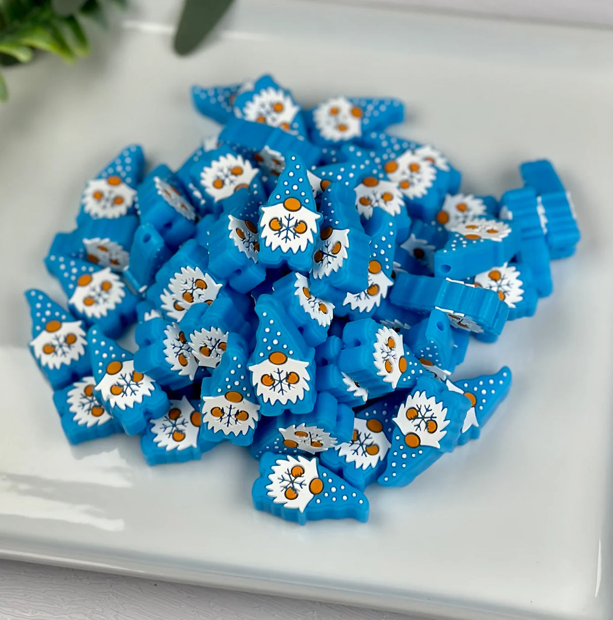 Silicone Focal Beads