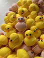 Wholesale 3D yellow duck silicone focal beads for beadable pens